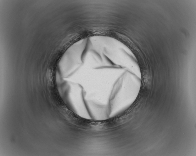 X0000113120667200909251114