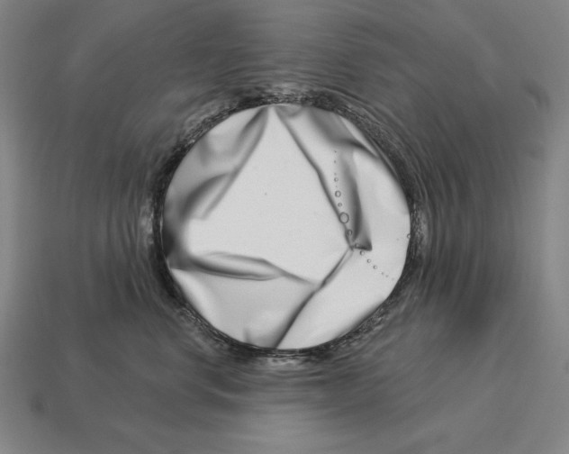 X0000113120668200909251114