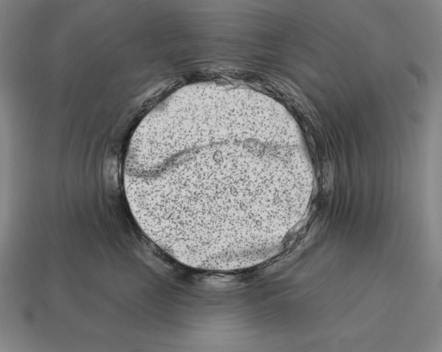 X0000113120669200909251114