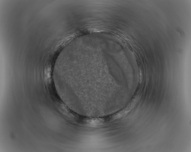 X0000113120670200909251114
