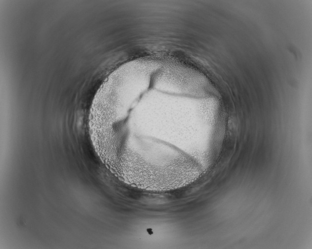 X0000113120671200909251114