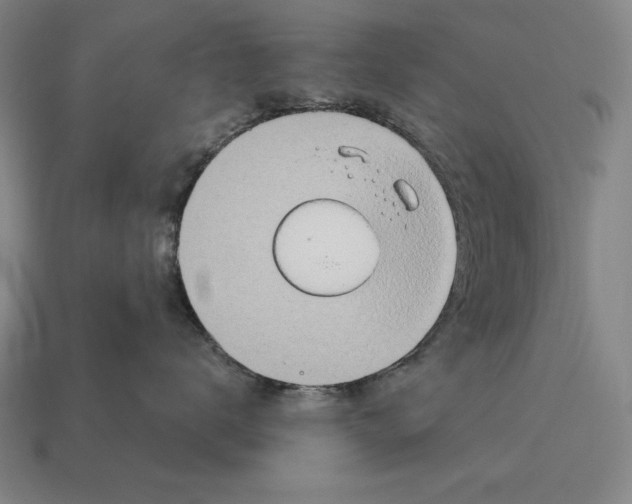 X0000113120672200909251114