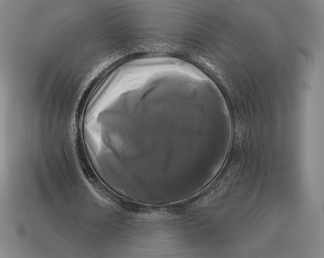 X0000113120674200909251113