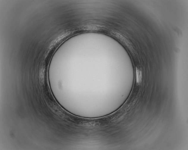 X0000113120675200909251113