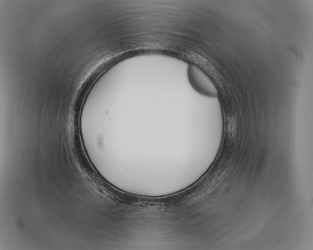 X0000113120676200909251113