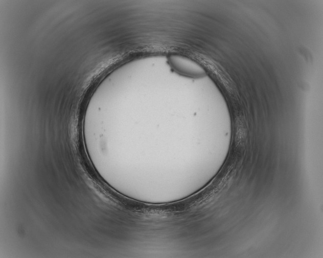 X0000113120677200909251113
