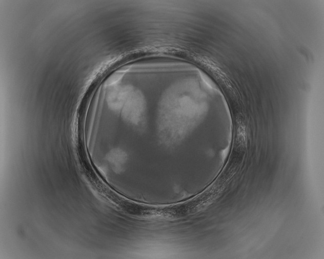 X0000113120678200909251113