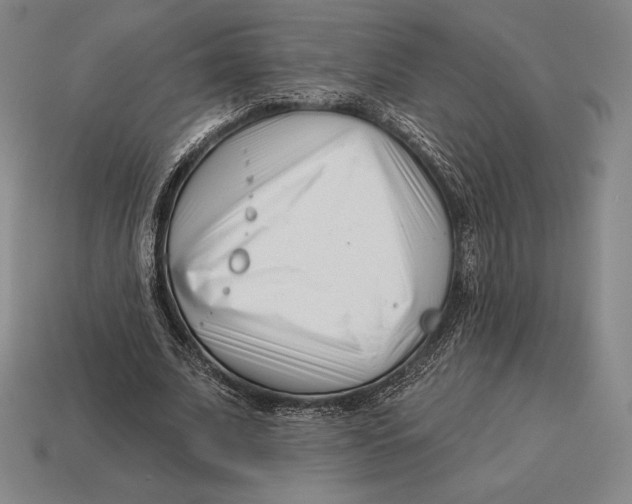 X0000113120679200909251113
