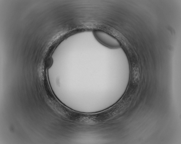 X0000113120680200909251113