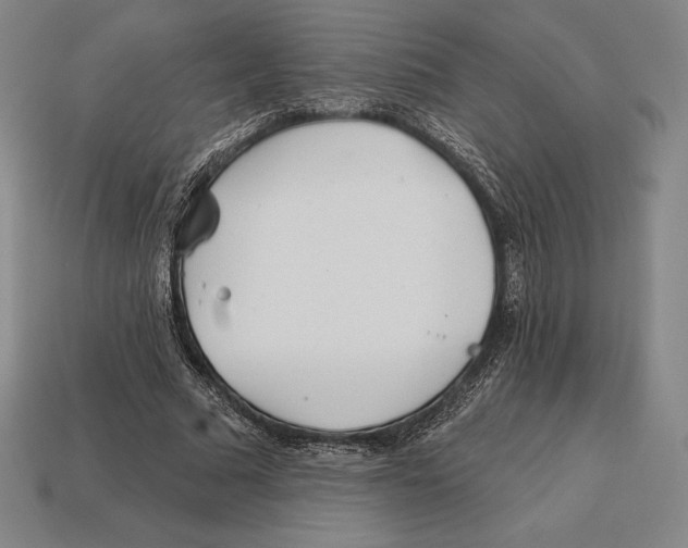 X0000113120681200909251113