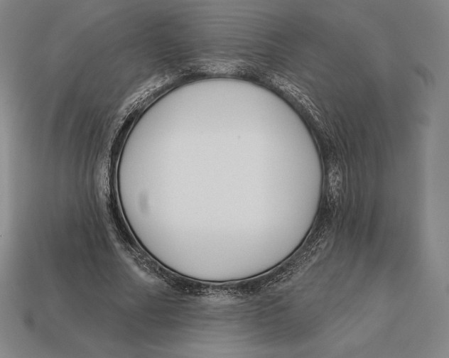 X0000113120682200909251113