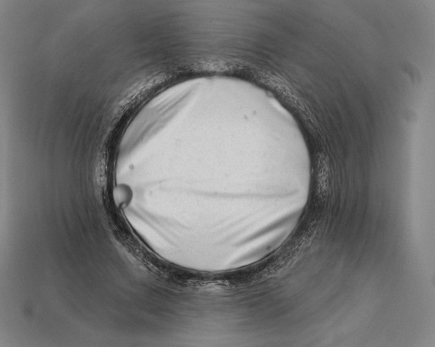 X0000113120683200909251113