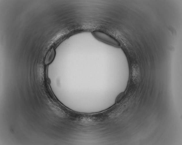 X0000113120684200909251113