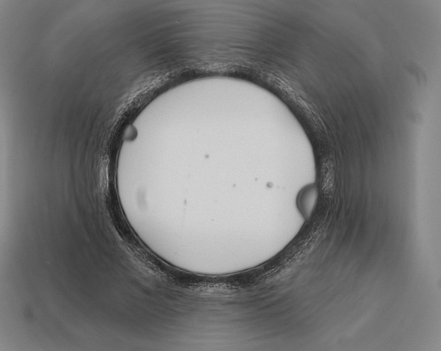 X0000113120685200909251113