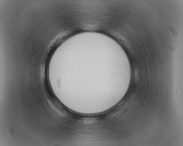 X0000113120686200909251113