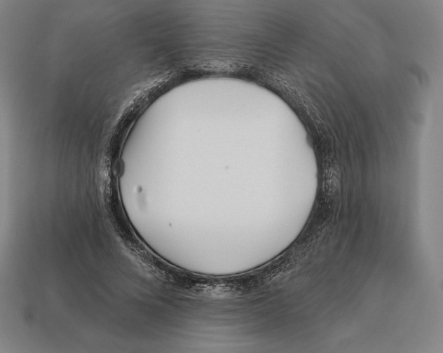 X0000113120688200909251113