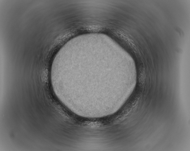 X0000113120689200909251113