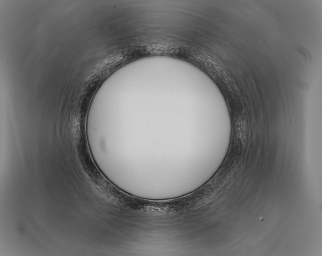 X0000113120690200909251113