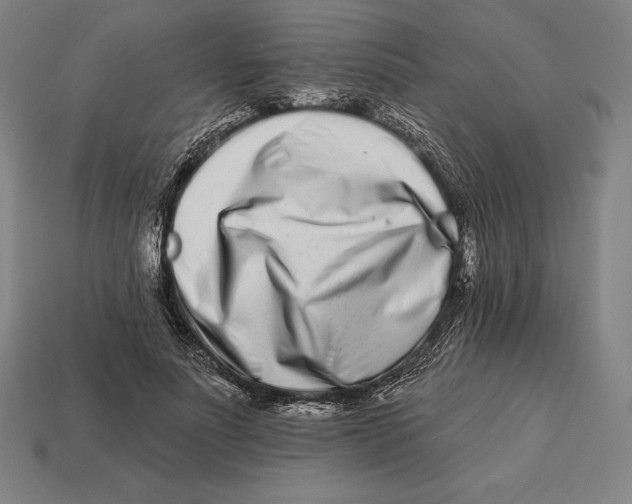 X0000113120691200909251113