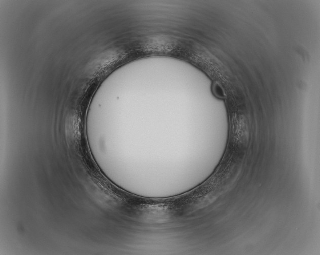 X0000113120692200909251113
