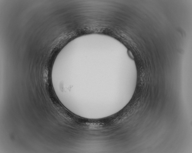 X0000113120693200909251113