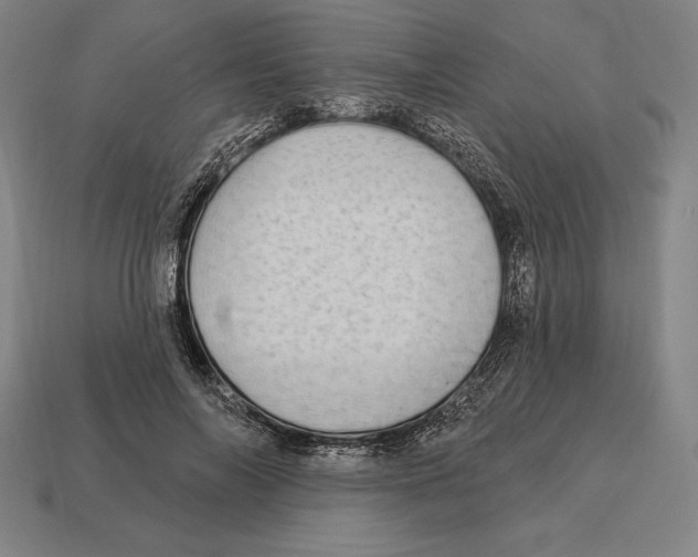 X0000113120694200909251113