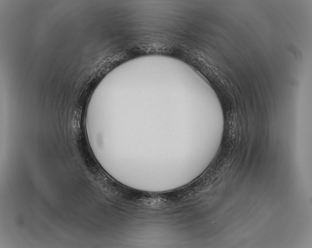 X0000113120695200909251113