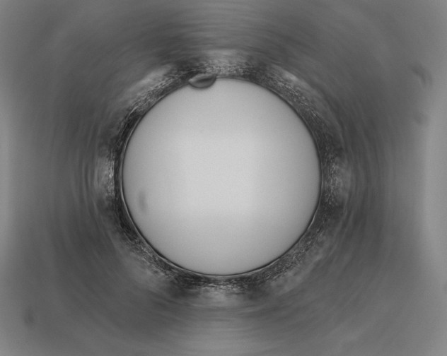 X0000113120696200909251113