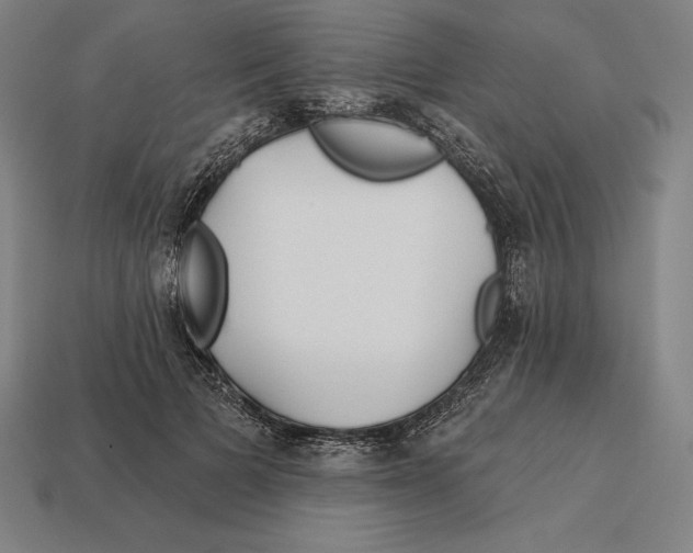 X0000113120697200909251113