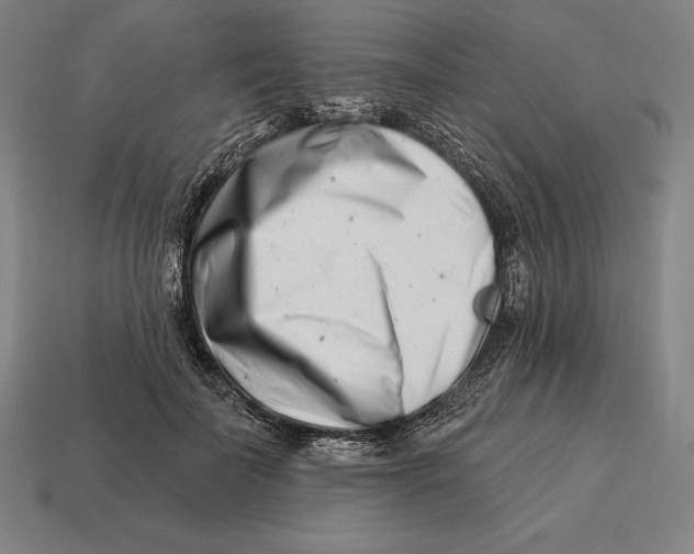 X0000113120699200909251113