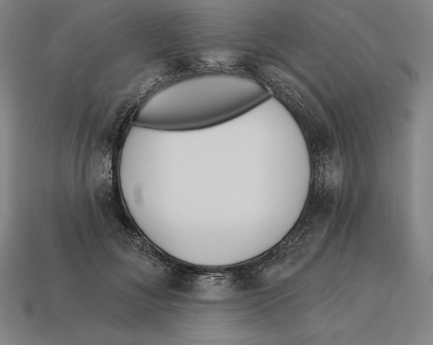 X0000113120700200909251113