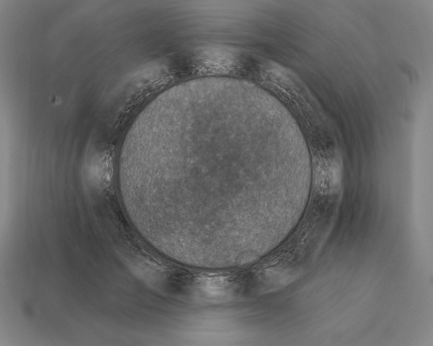 X0000113120701200909251113