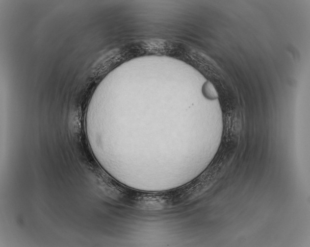 X0000113120702200909251113
