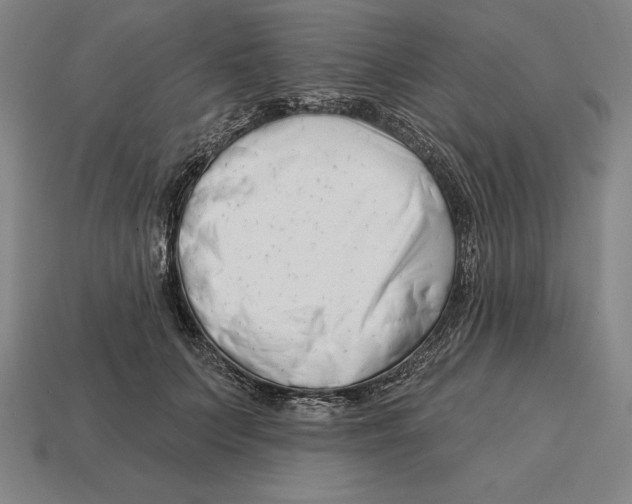 X0000113120703200909251113