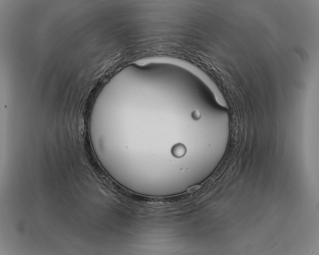 X0000113120704200909251113