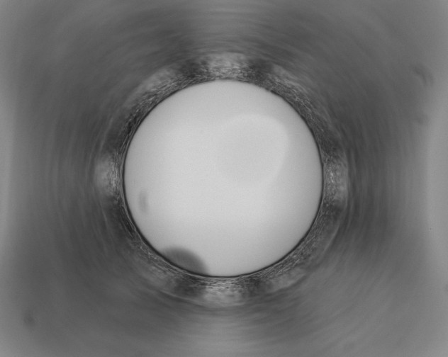 X0000113120705200909251113
