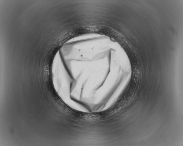 X0000113120707200909251113