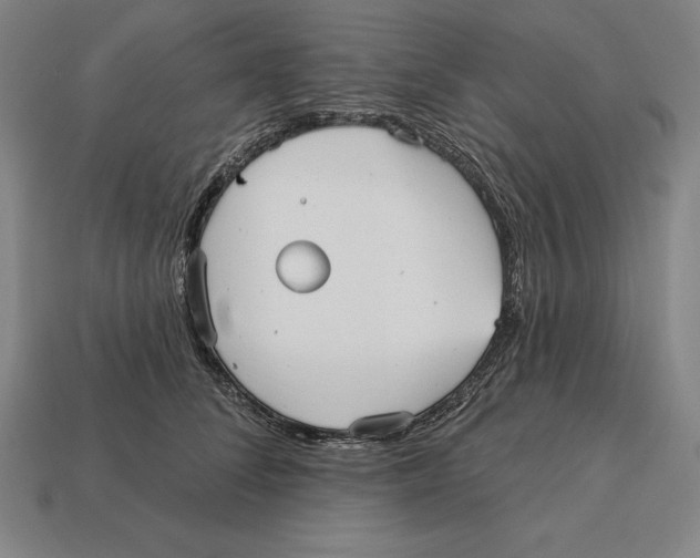 X0000113120708200909251113