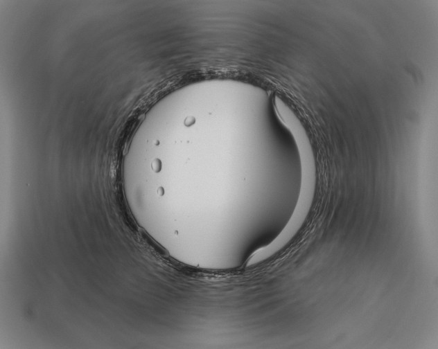 X0000113120709200909251113