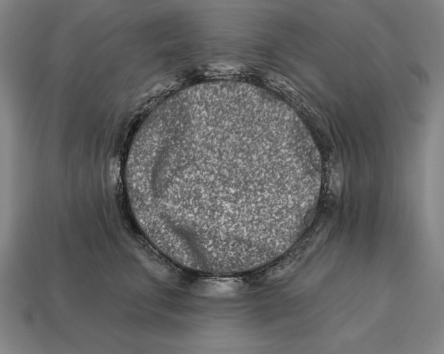 X0000113120711200909251113
