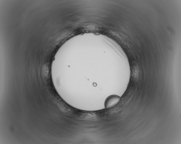 X0000113120715200909251113