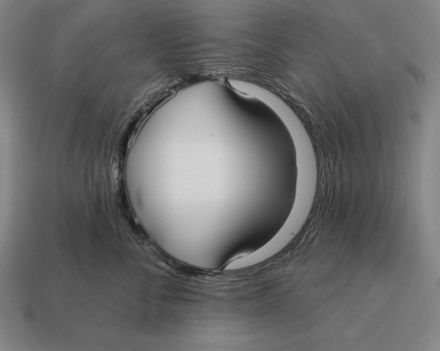 X0000113120716200909251113