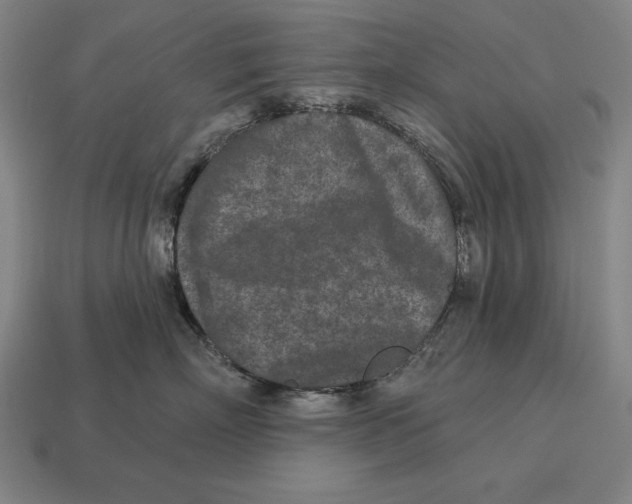 X0000113120718200909251113