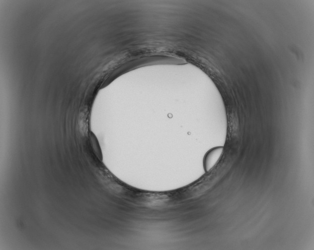 X0000113120719200909251113