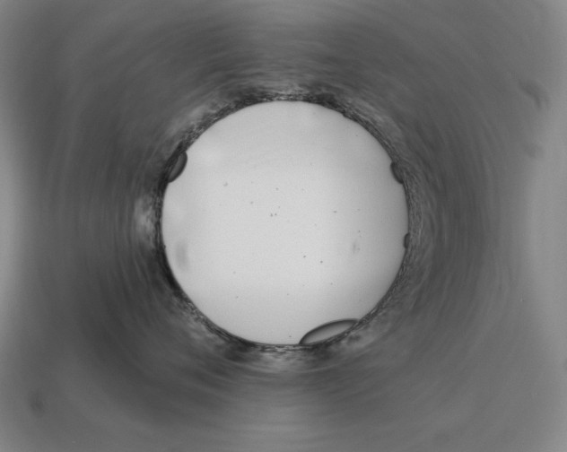 X0000113120720200909251113