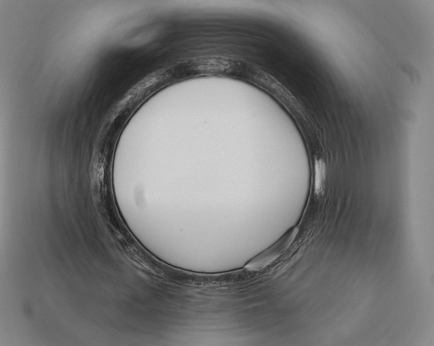 X0000113120723200909251112