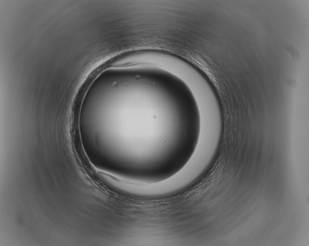 X0000113120724200909251112