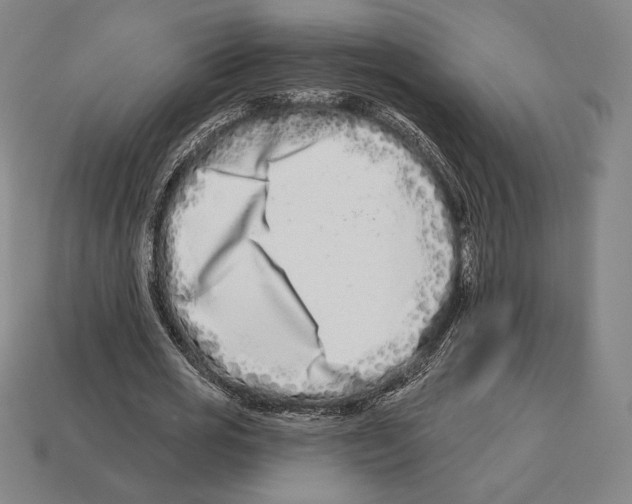 X0000113120725200909251112