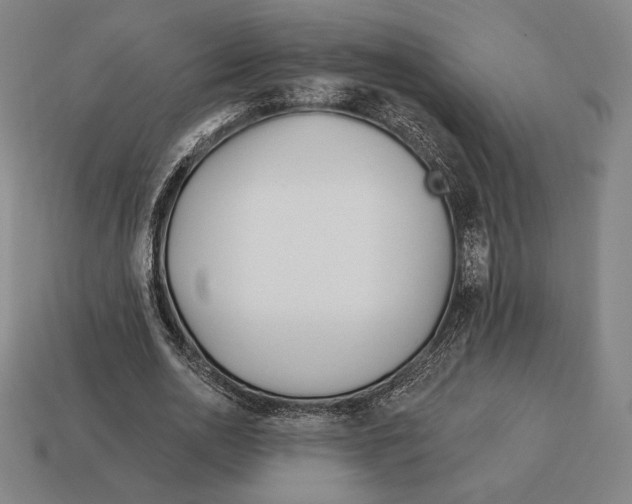 X0000113120726200909251112