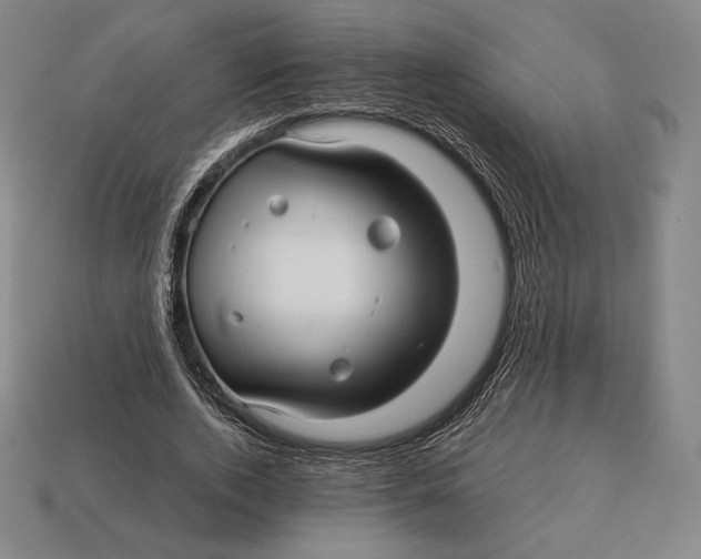 X0000113120728200909251112